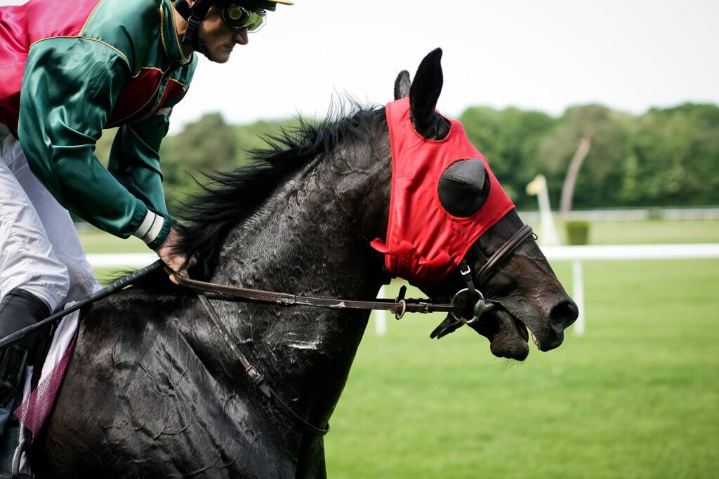 Horse Racing Free Photo