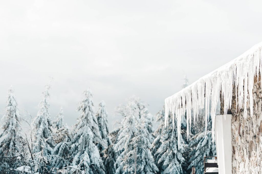 Icicles and White Snowy Forest Free Photo