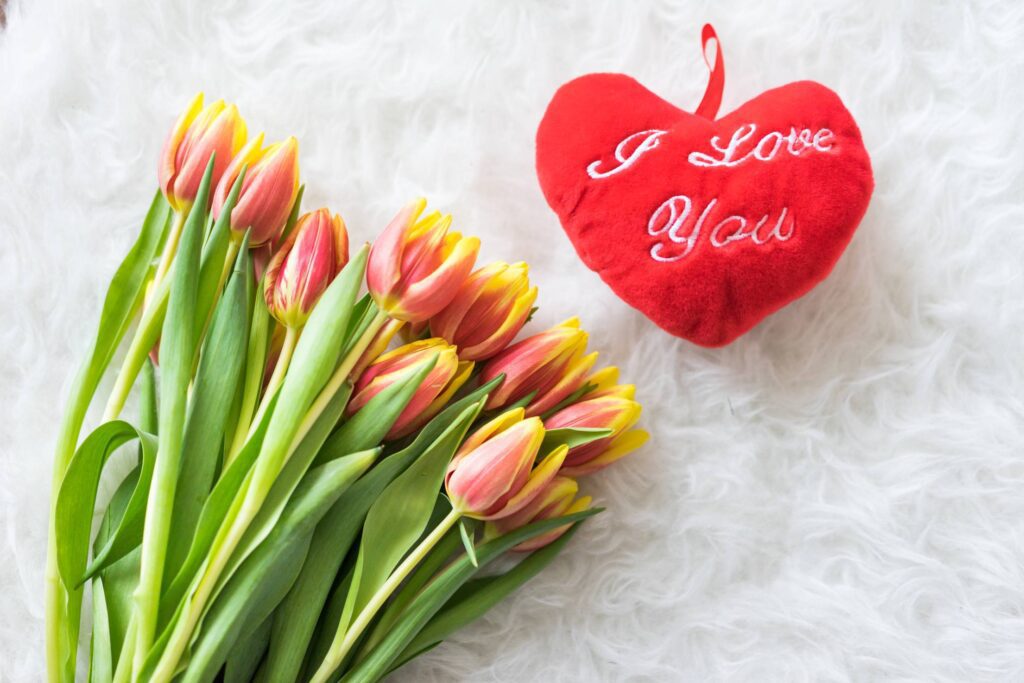 Kees Nelis Tulips With Plush I Love You Heart Free Photo