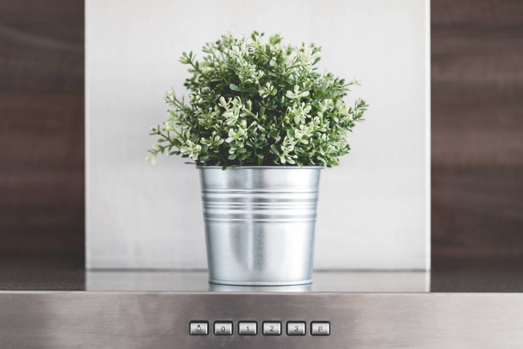 Kitchen Decoration: Green Flower in Metallic Flowerpot Free Photo