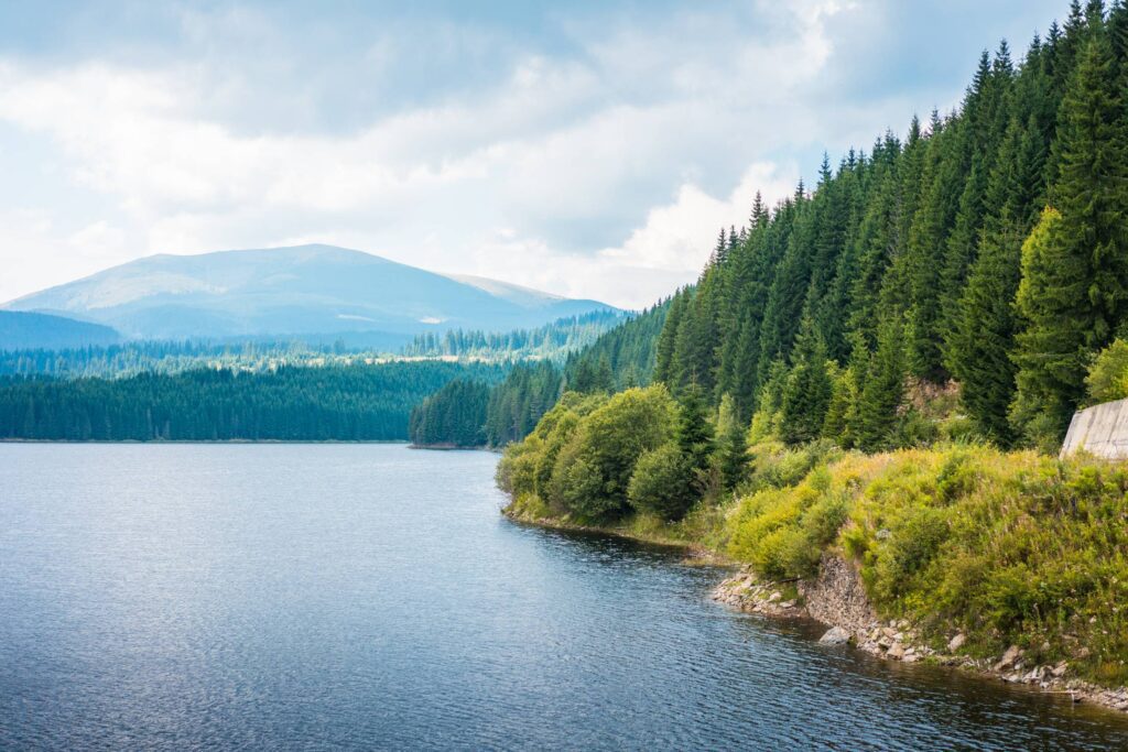 Lake Shore and Forests Scenery in Romania Free Photo