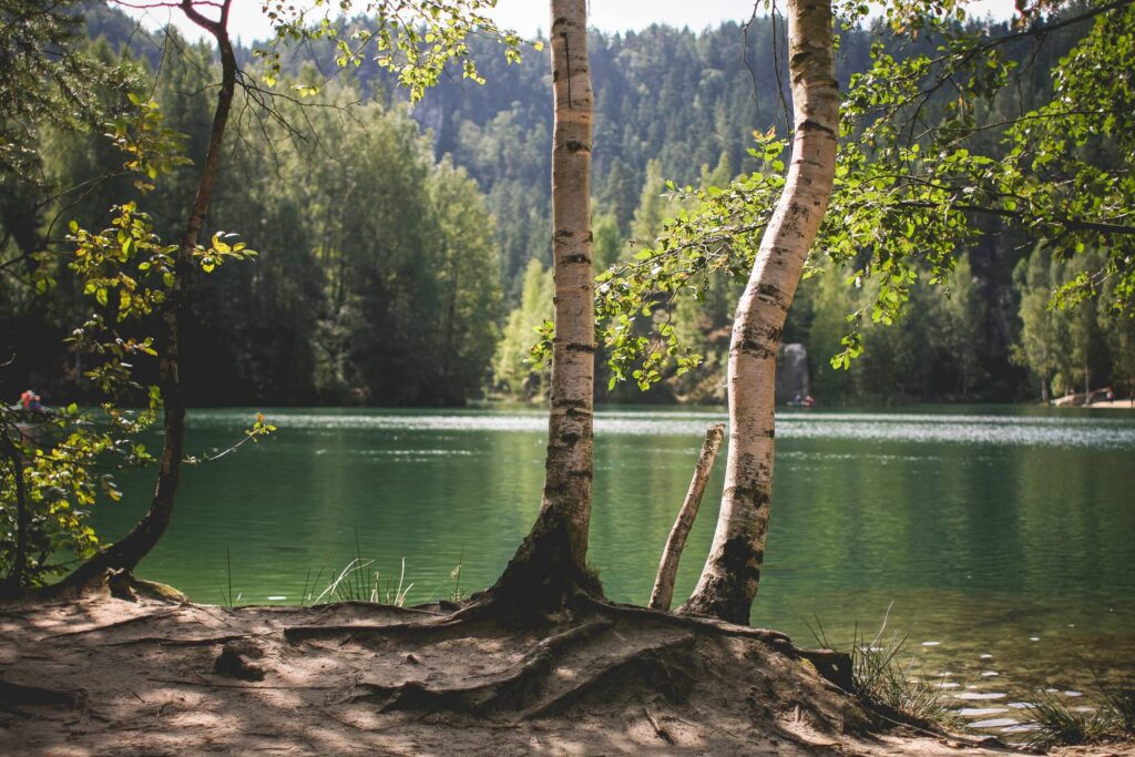 Lakeside Nature in Czech Republic Free Photo