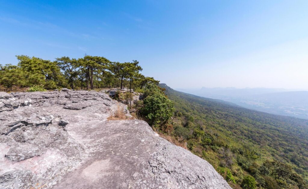 landscape of rock and pine forest in nature park on blue sky Stock Free