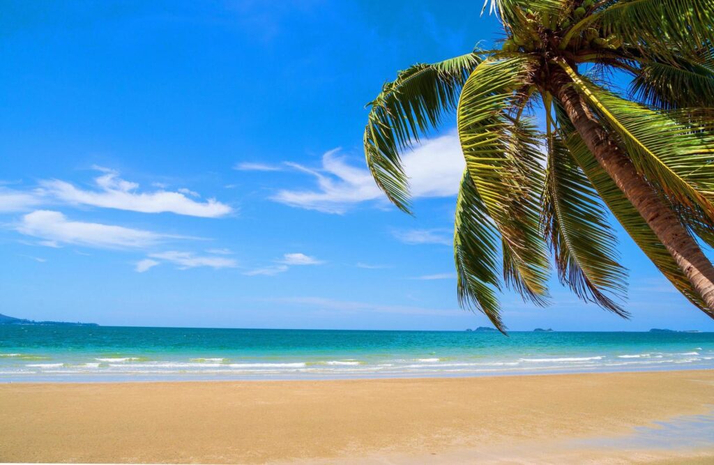 Landscape summer panorama front view tropical palm and coconut trees sea beach blue white sand sky background calm Nature ocean Beautiful wave water travel Suan Son Beach thailand Rayong Stock Free