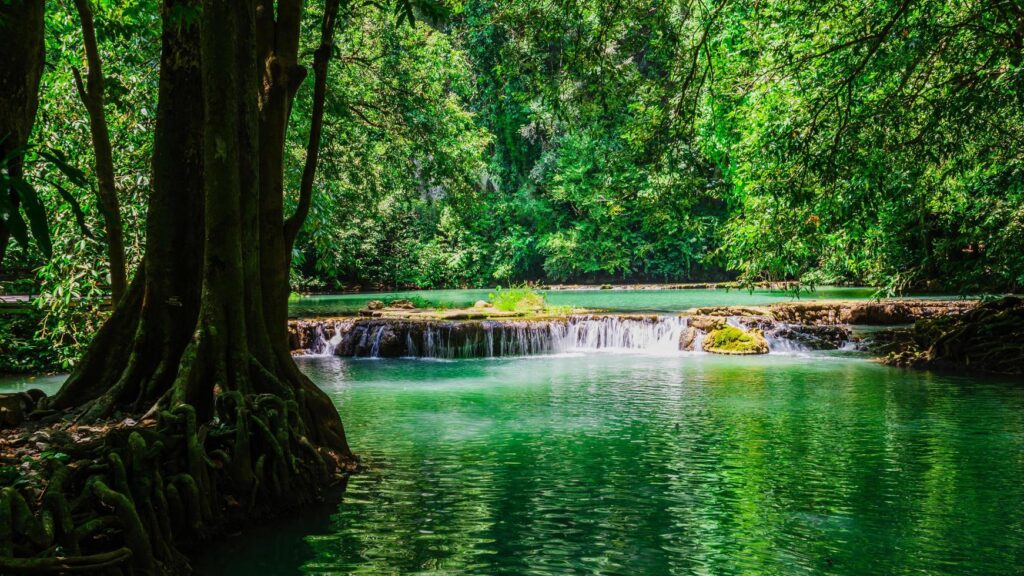 Landscape Waterfall Than Bok Khorani. Thanbok Khoranee National Park lake, nature trail, forest, mangrove forest, travel nature, travel Thailand. Nature Study. Attractions. Free Photo