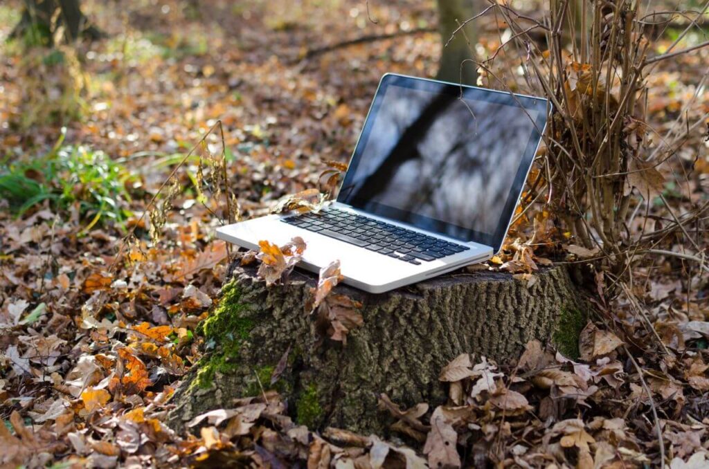 Laptop Tree Leaves Autumn Fall Stock Free