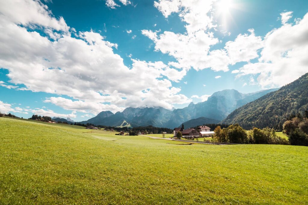 Large Pasture Meadow Scenery Free Photo