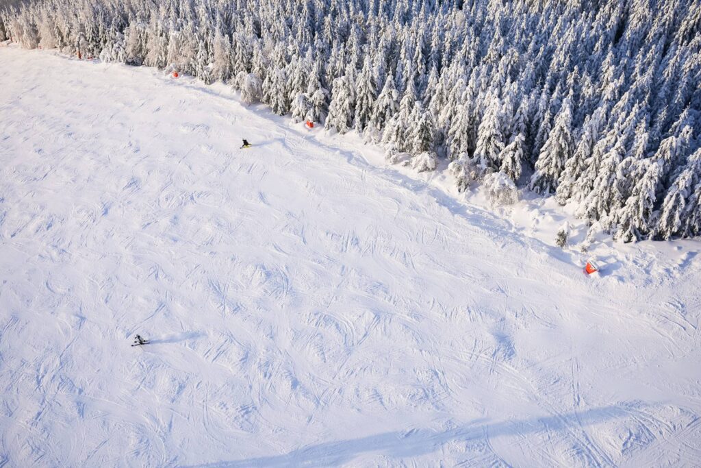 Large Ski Slope with Skiers From Above Free Photo