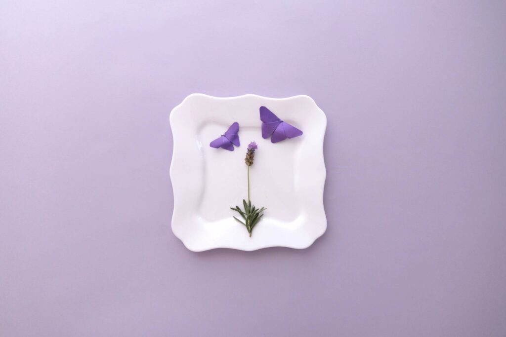 Lavender Flat Lay Flower and Butterflies Free Photo