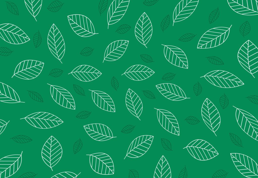 Leaves background pattern design. Hand drawn outline for banner, card. Vector illustration Free Vector