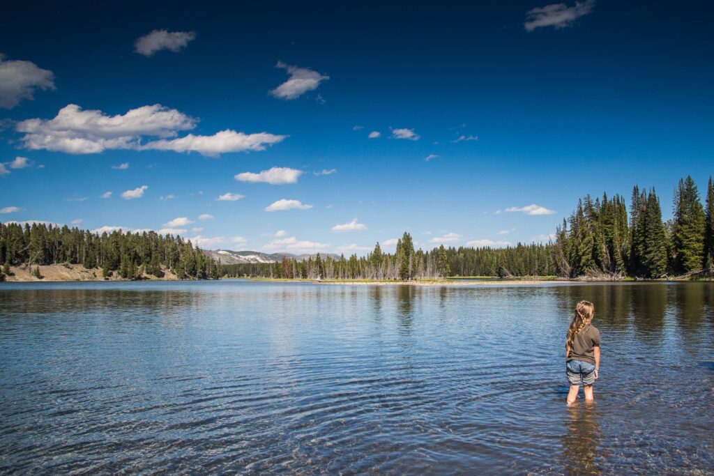 Little Kid in Lake in the USA Free Photo