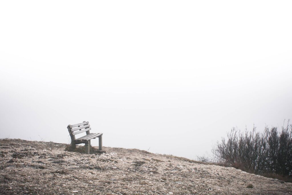 Lonely Bench at The End of The World Free Photo