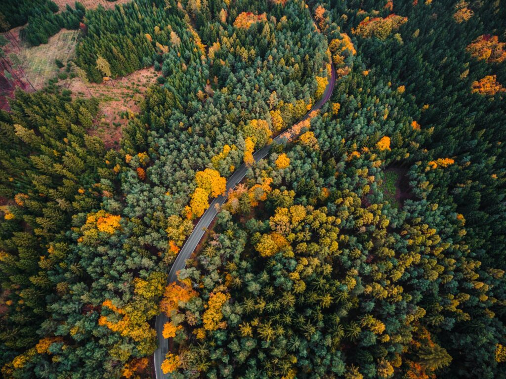 Lonely Road in Forest Aerial View Free Photo