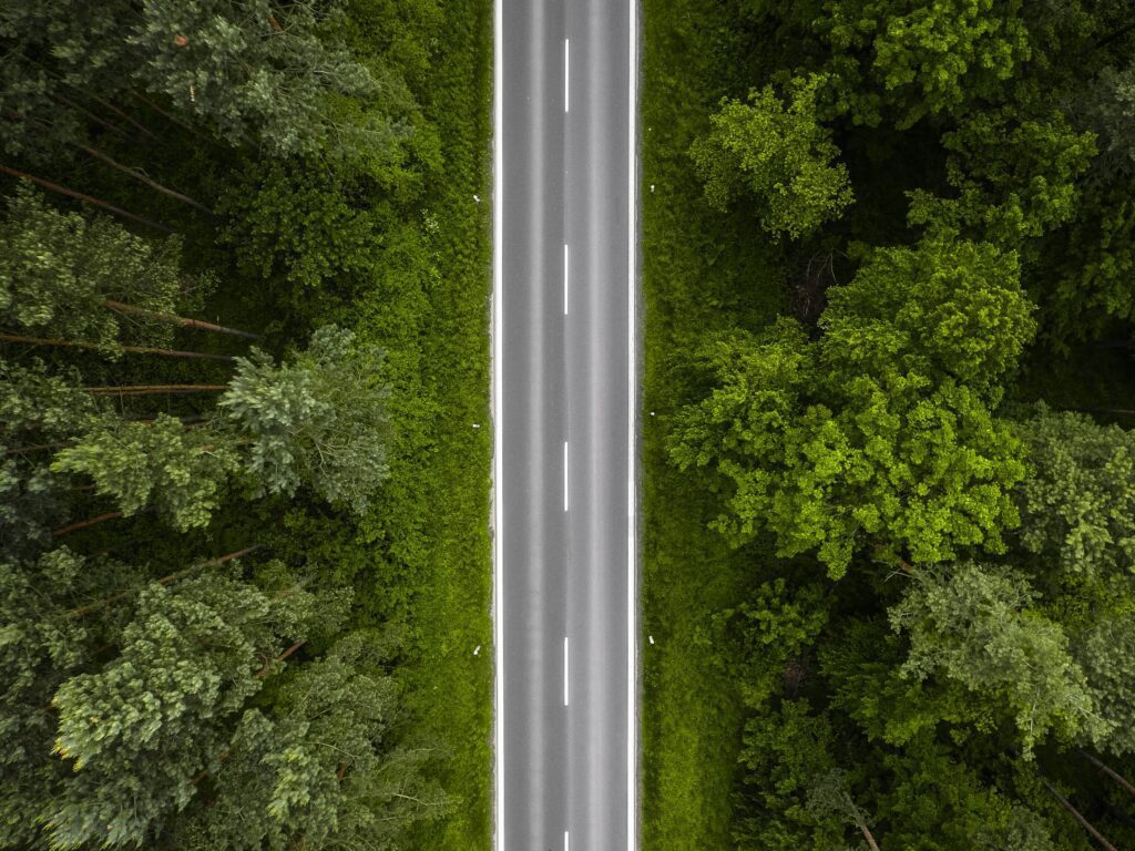 Lonely Road in the Woods Aerial Free Photo