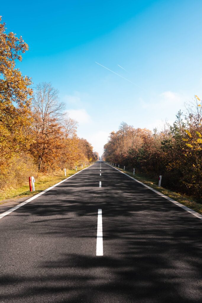 Long Way Road in the Autumn Forest Free Photo