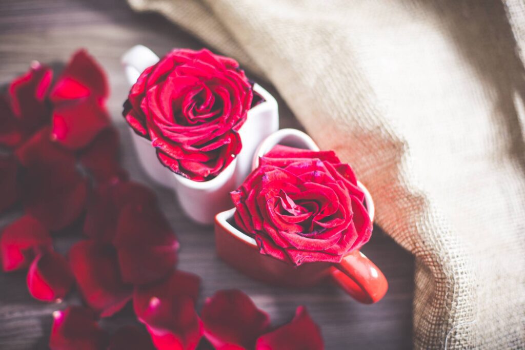 Love Heart Coffee Cups with Roses and Rose Leafs #2 Free Photo