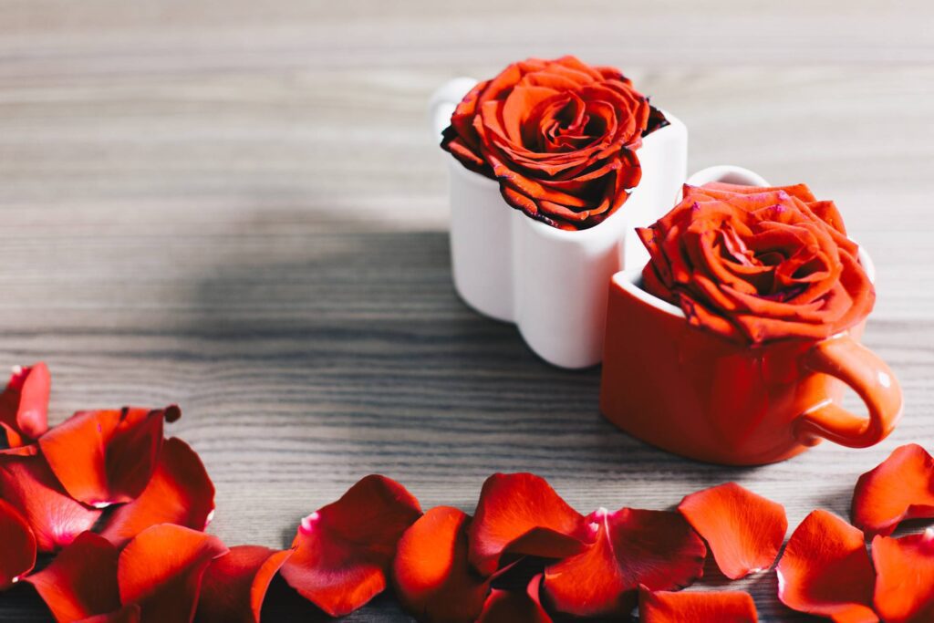 Love Heart Coffee Cups with Roses and Rose Leafs Free Photo