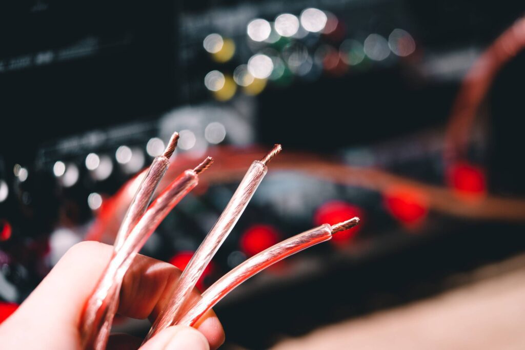 Man Holding Speaker Cables for Audio Receiver Free Photo