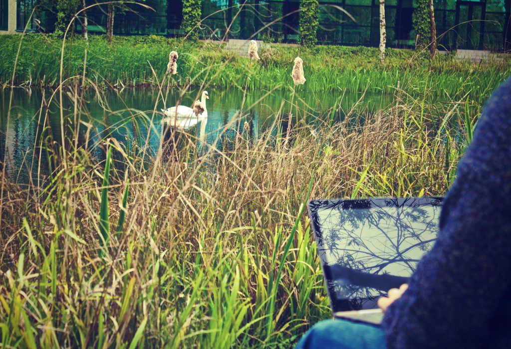 Man on Laptop Green Free Stock HD Photo