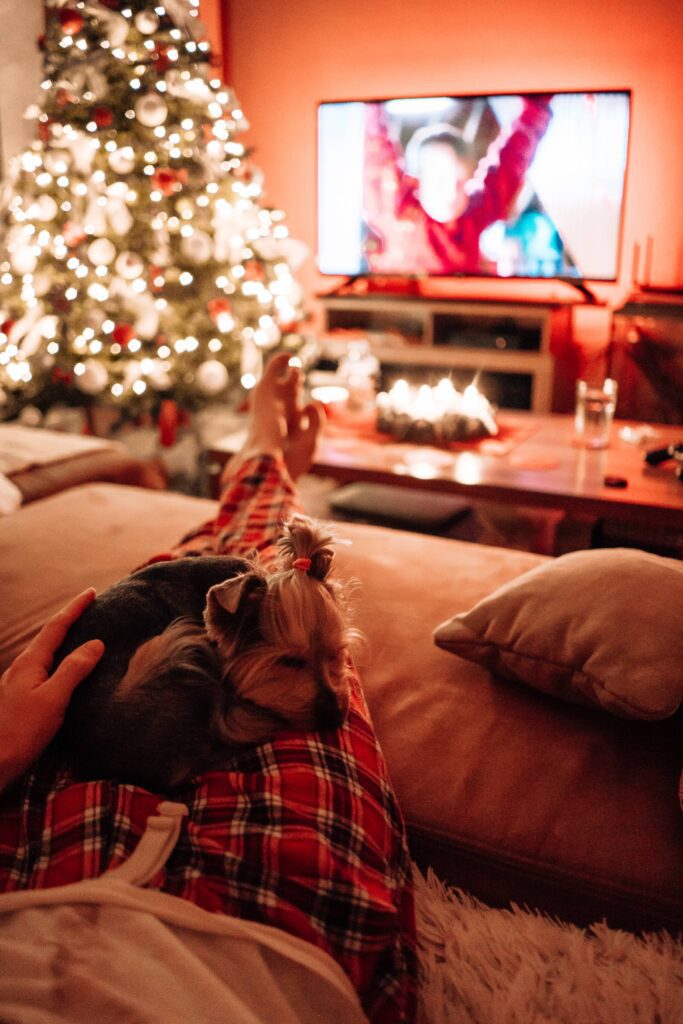 Man Relaxing on a Sofa with His Dog at Christmas Free Photo