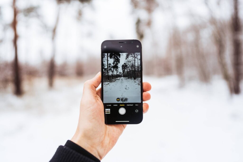 Man Taking a Photo in The Woods Free Photo