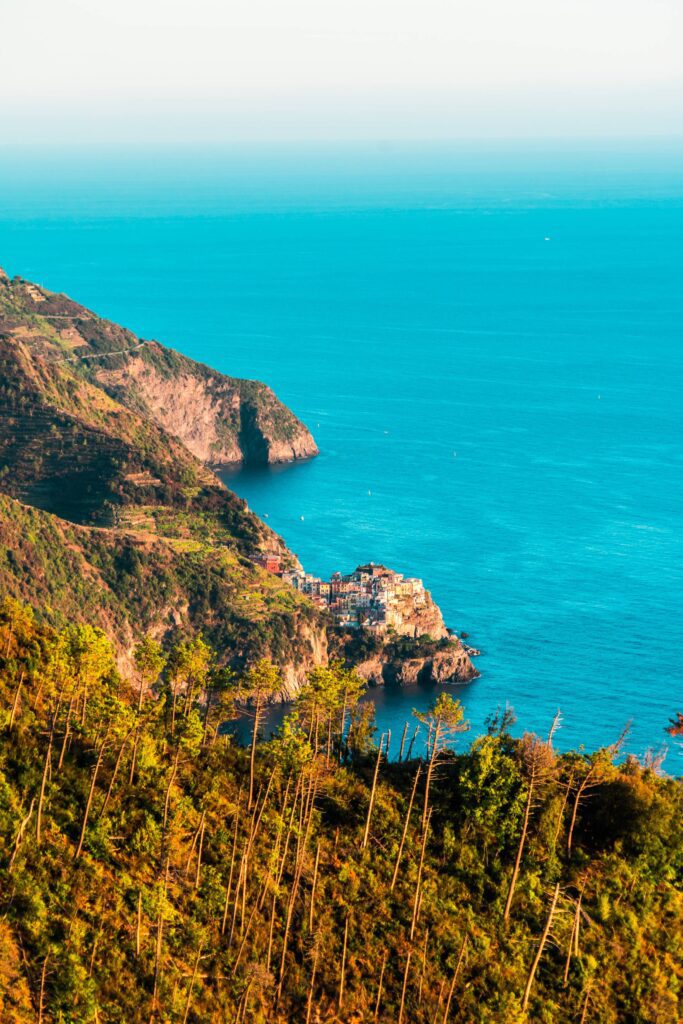 Manarola Town Free Photo