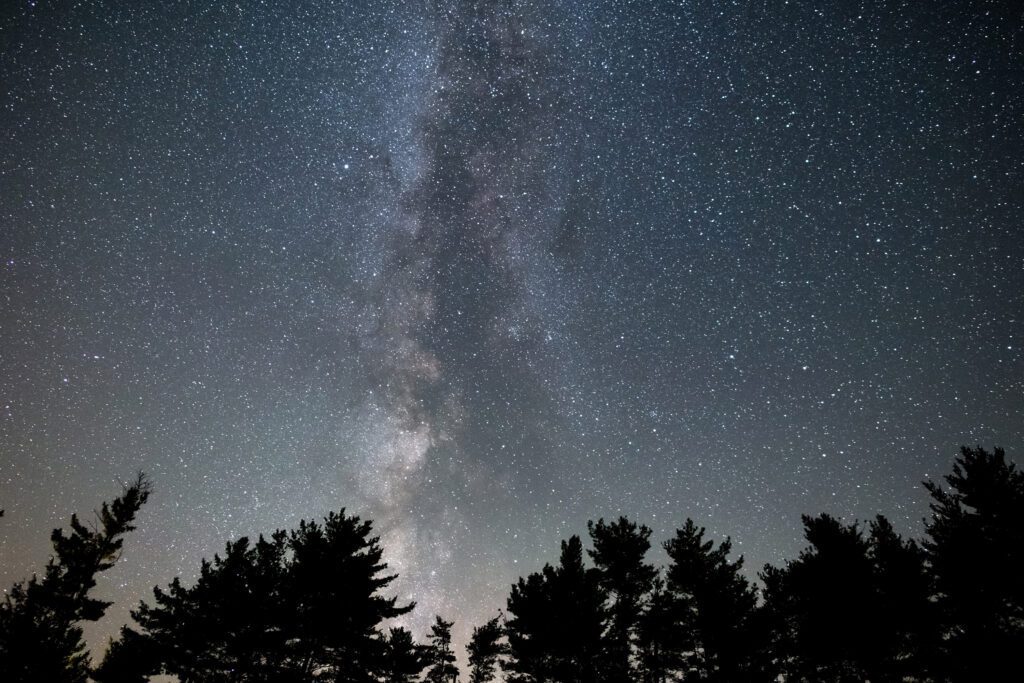 Milky Way Tree Silhouettes Free Stock HD Photo