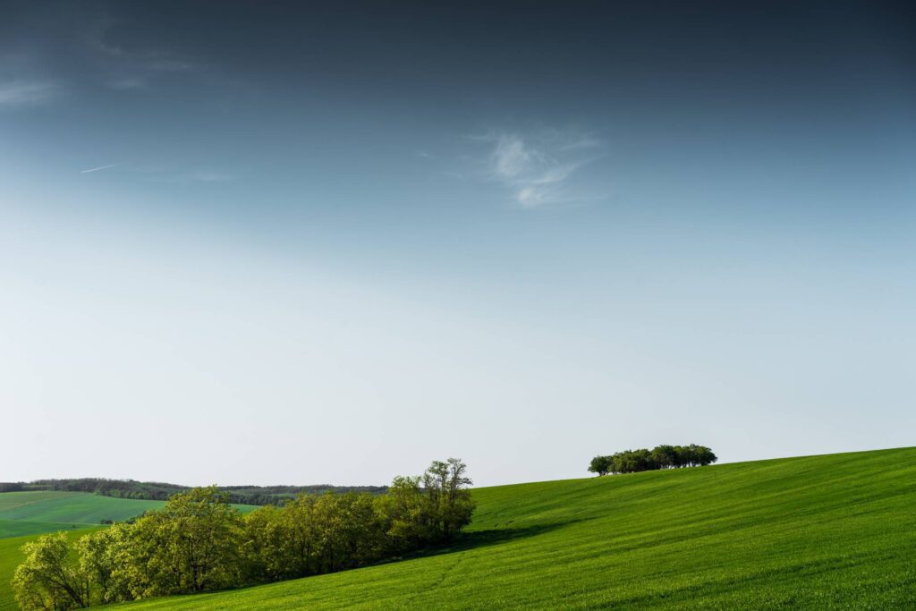 Minimalistic Green Scenery with Blue Sky Free Photo