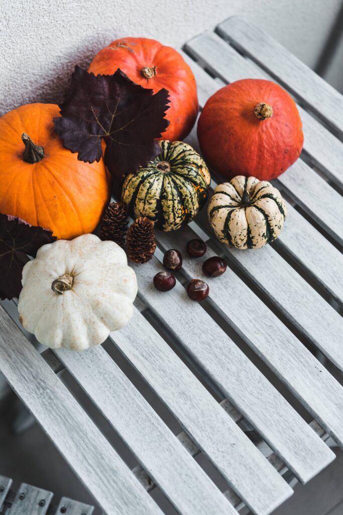 Mixed Pumpkins with Autumn Decorations Free Photo