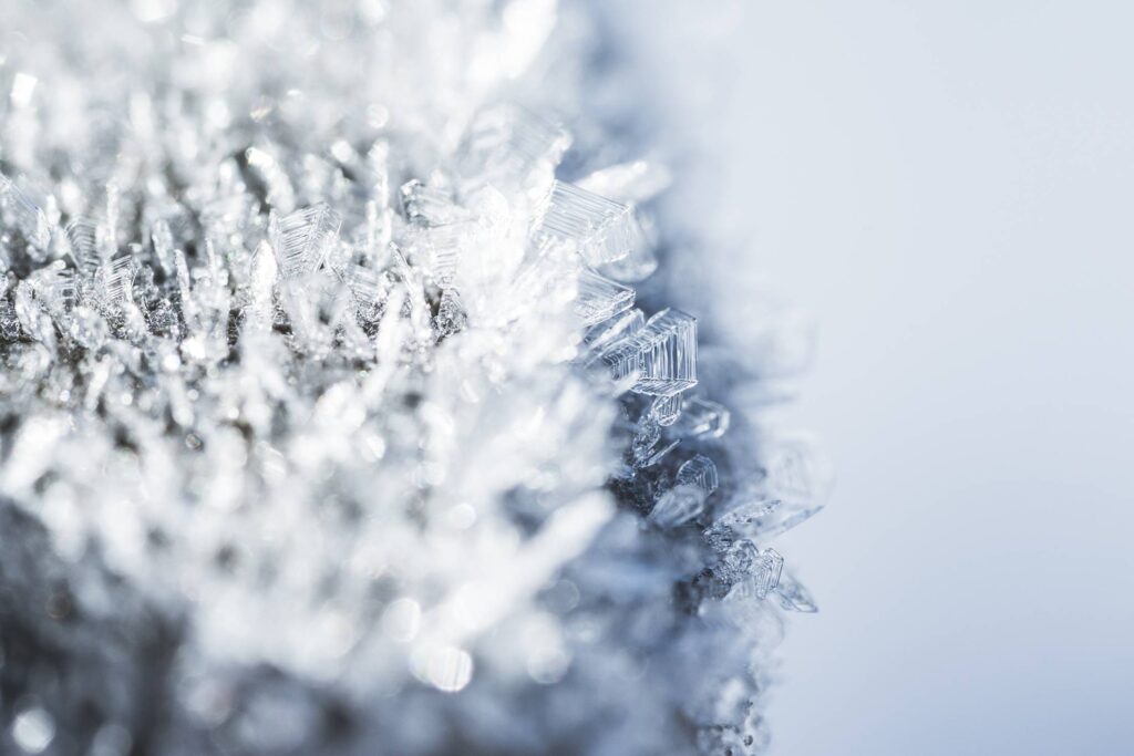 Morning Hoar Frost Frozen Snowflakes Close Up Free Photo