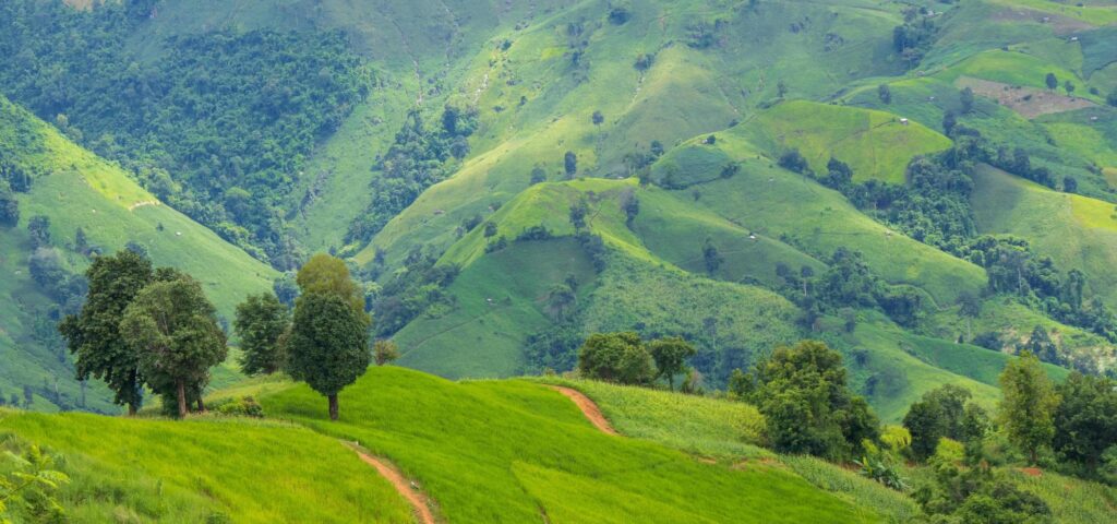 Mountain and grassland in the rainy season green natural scenery Stock Free