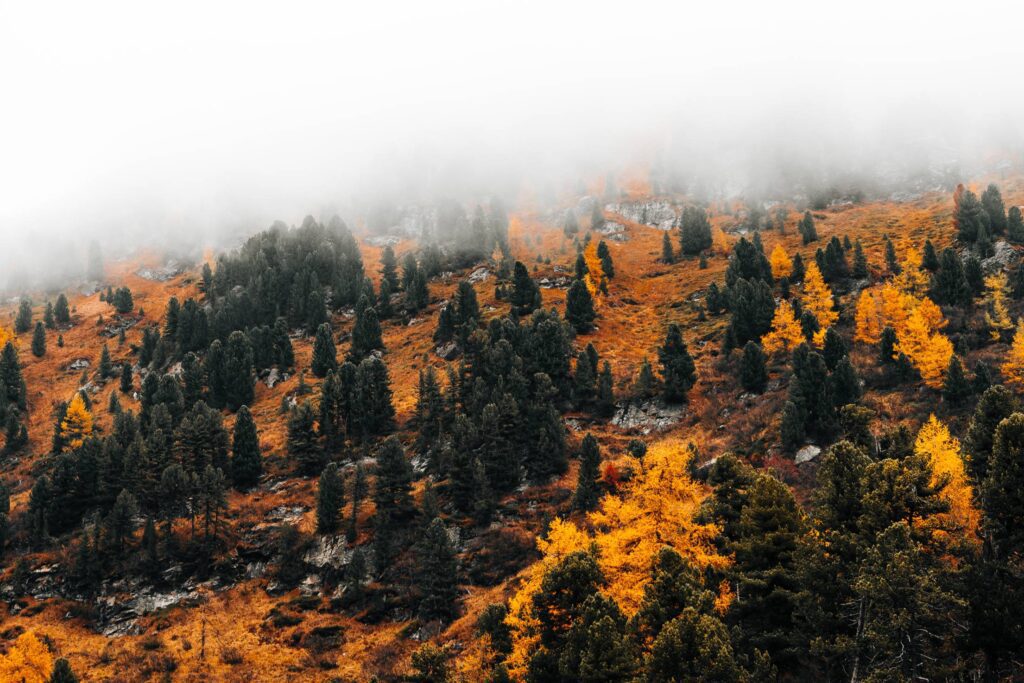 Mountain Hidden in a Fog, Autumn in Austria Free Photo