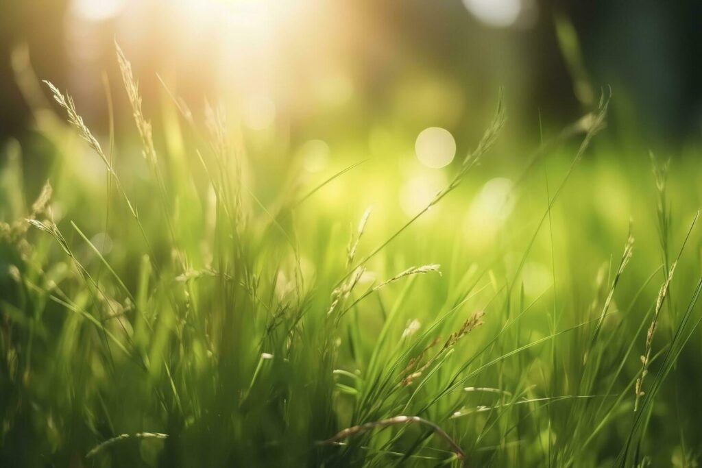 Natural green defocused spring summer blurred background with sunshine. Juicy young grass and foliage on nature in rays of sunlight, scenic framing, copy space Stock Free