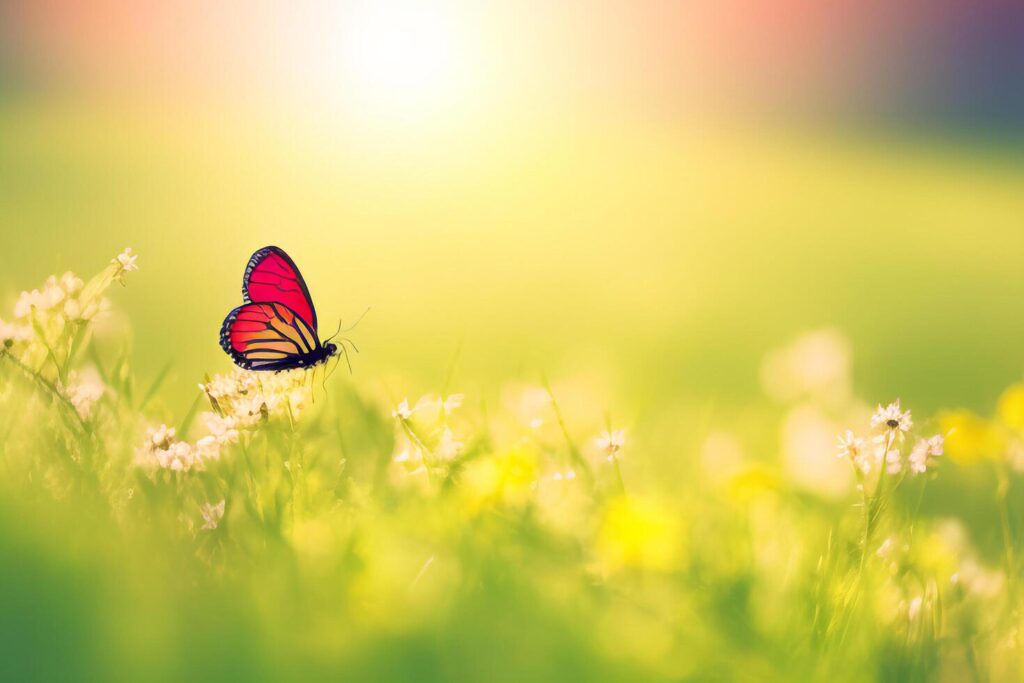 
									Natural summer with grass and a fluttering butterfly with . Stock Free