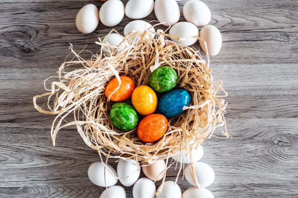 Natural White Eggs and Colored Easter Eggs Free Photo