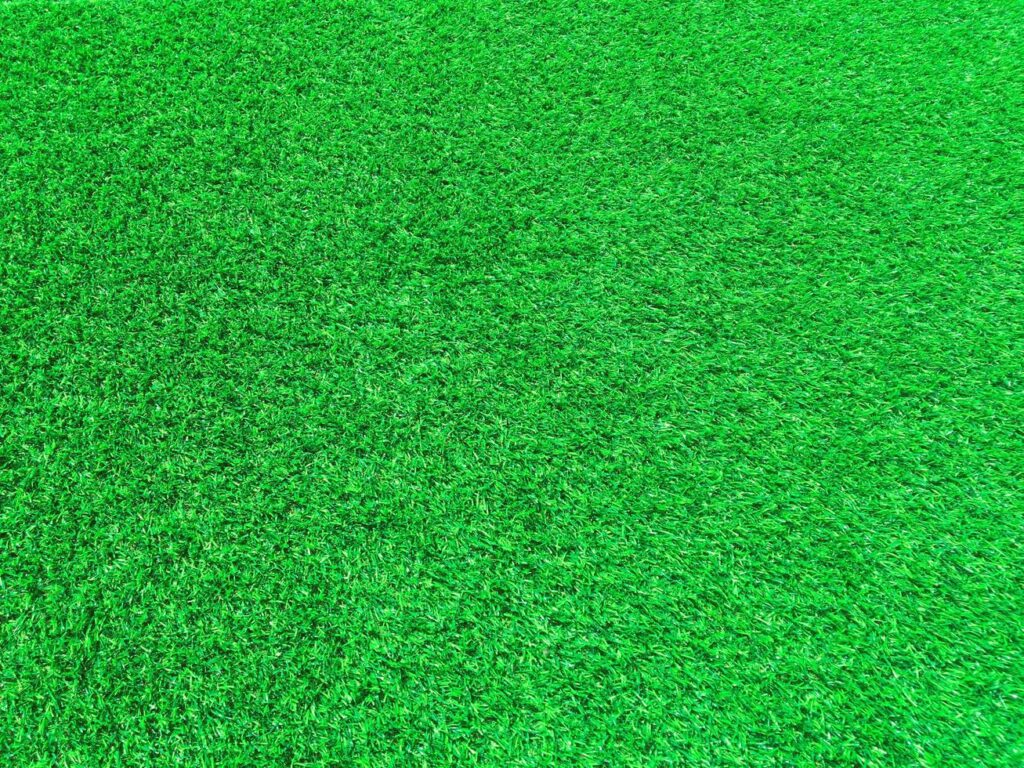 Nature green grass texture background for design. Eco concept. Stock Free