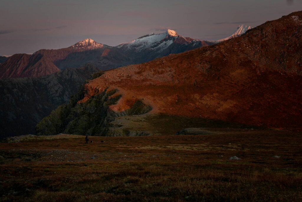 Norwegian Mountains with Tiny Woman Hiking with Dogs Free Photo