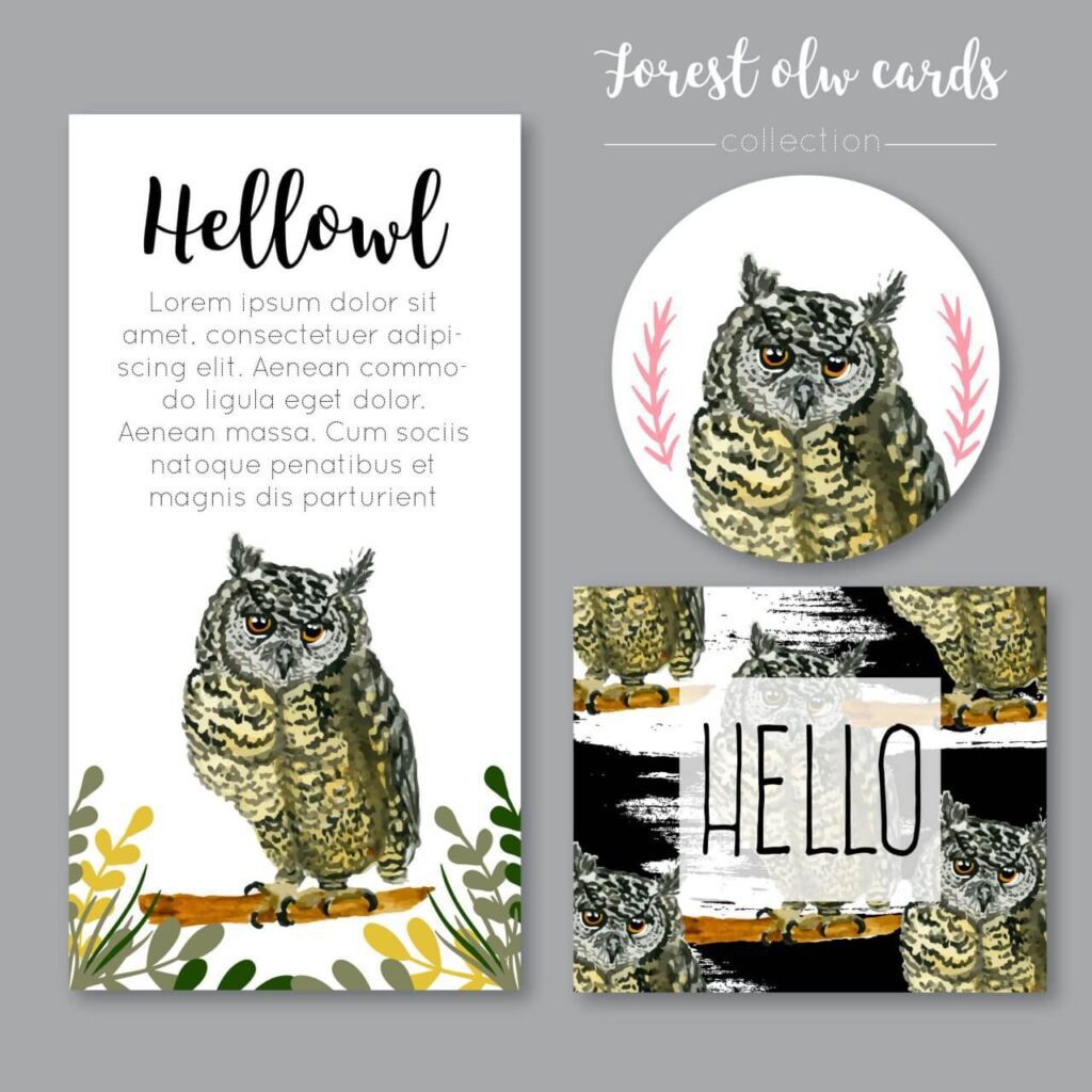 Watercolor owl collection or cards