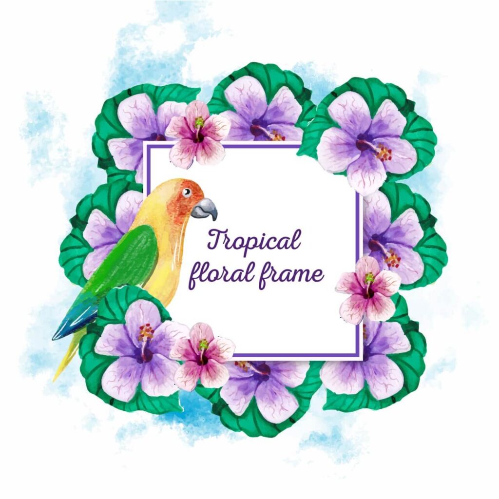 Watercolor tropical frame