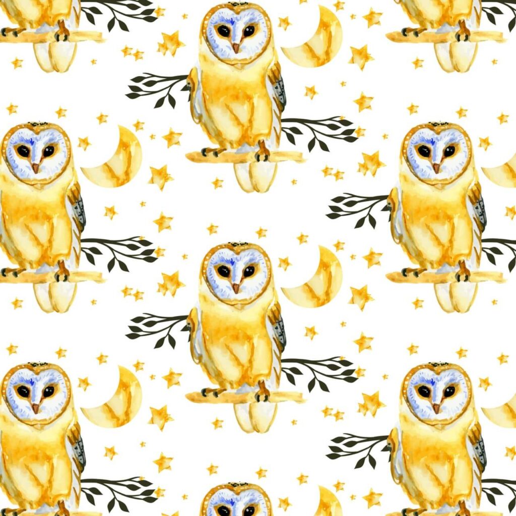 Owl background