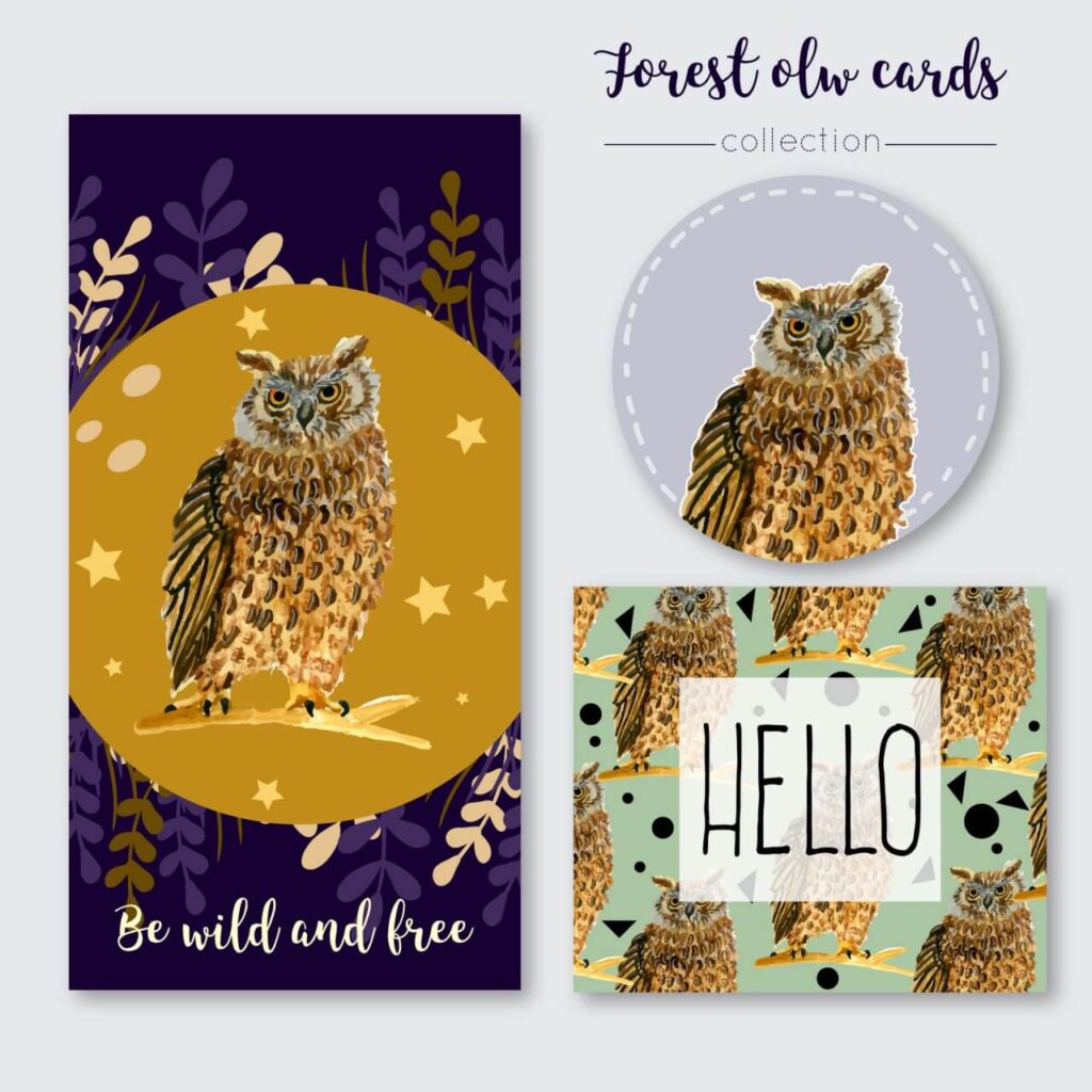 Owl summer cards