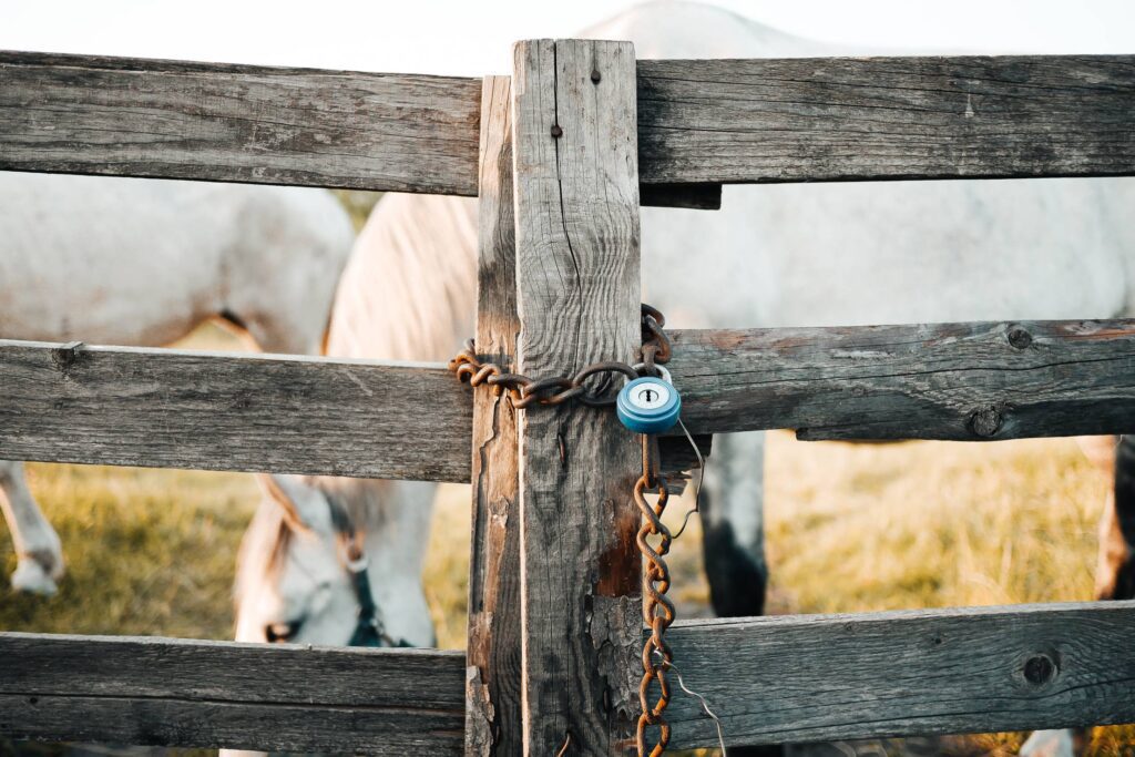 Old Locked Fence Free Photo