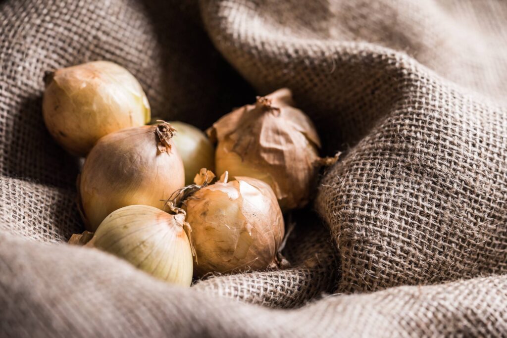 Onions in Sack Free Photo