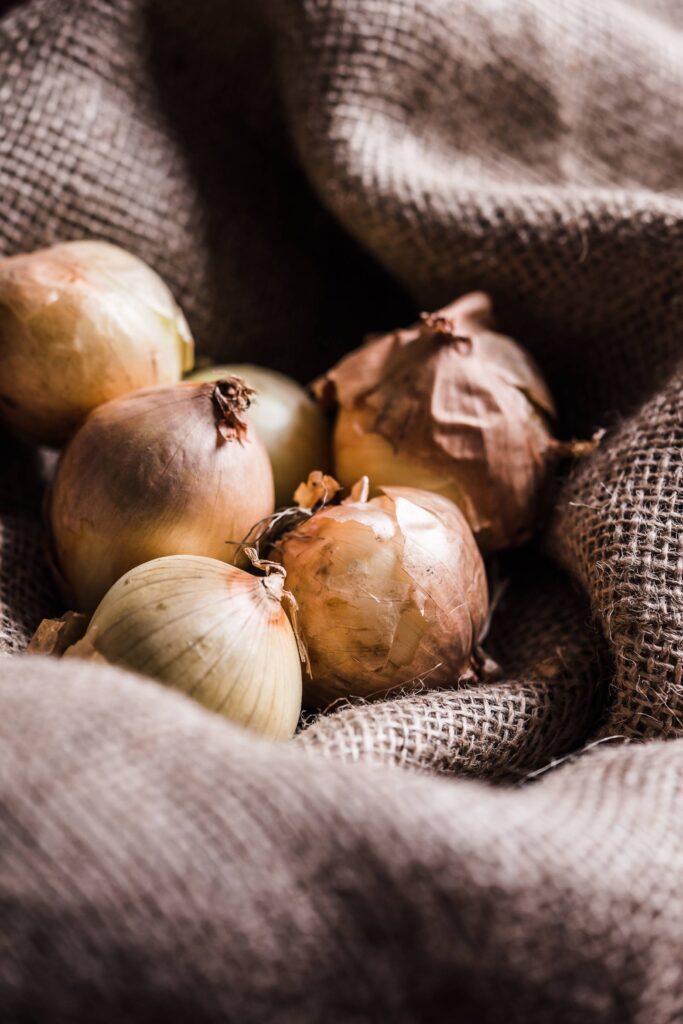 Onions in Sack Vertical Free Photo