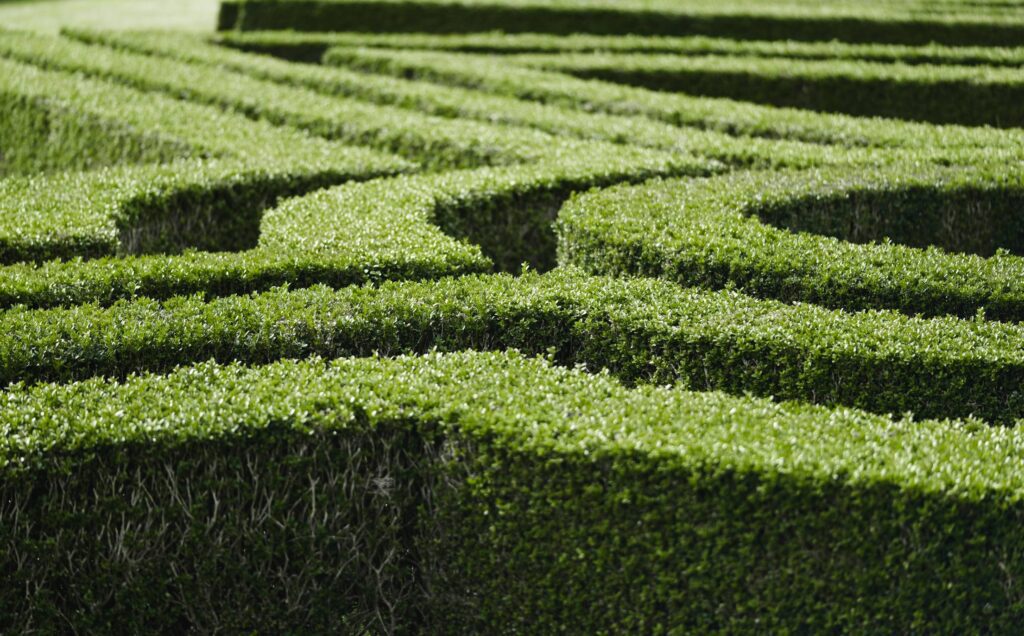 Ornamental Garden with Hedges of Buxus Free Photo