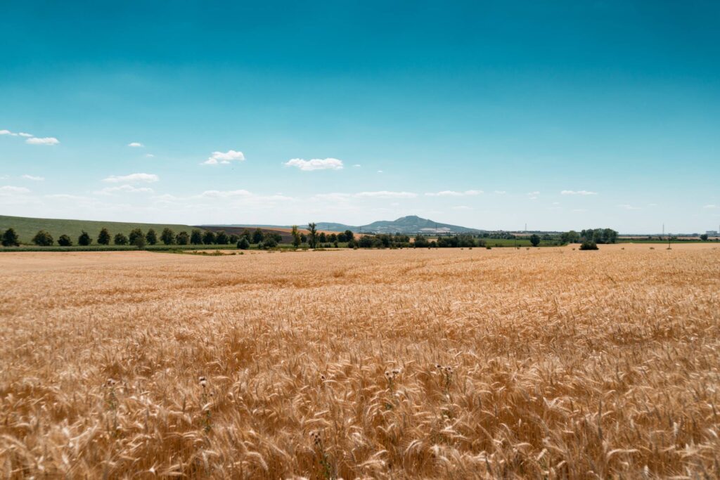 Palava Hills Panorama, South Moravia, Czechia Free Photo