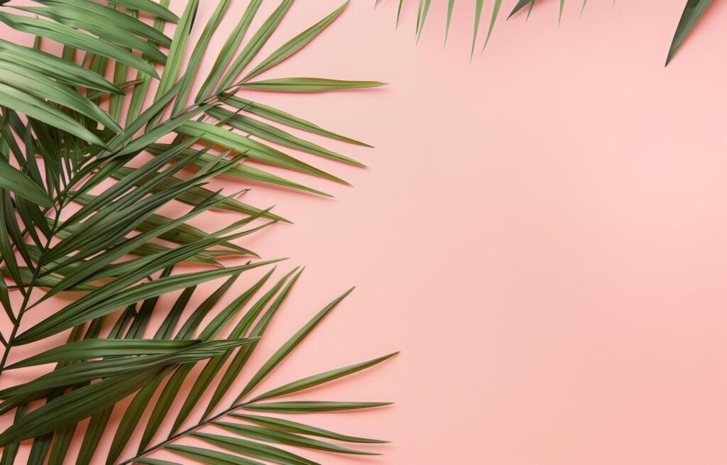 Palm Leaves on a Pink Background Stock Free