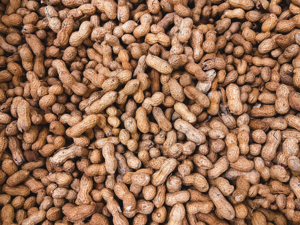 Peanuts Background Free Photo