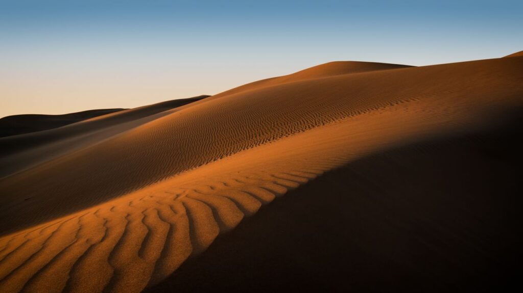 Maspalomas Stock Free