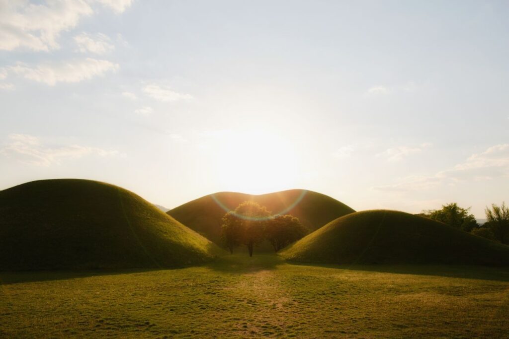 
									Photo by Adamara Stock Free